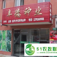 豐德種業(yè)供應(yīng)**：西紅柿種子，辣椒種子，黃瓜種子