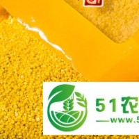 內蒙小米價格|||內蒙小米批發(fā)|||內蒙小米批發(fā)價格|||內蒙紅谷子小米批發(fā)