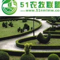 青島園林l綠化工程哪家* 可以選擇