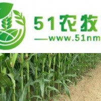 農(nóng)作物、果樹、綠化樹的種植與銷售
