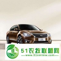長沙網(wǎng)約車公司商業(yè)模式****