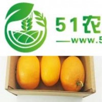 蜀地生態(tài)園拼團(tuán)活動(dòng)正火熱進(jìn)行