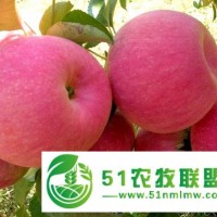 營養(yǎng)自然甜，蘋果要添鮮
