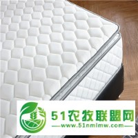海南記憶棉床墊廠家-盧喬斯-購享實(shí)惠-大眾共同選擇