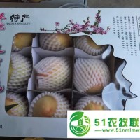 奉化水蜜桃自駕采摘 去 奉化王家桃園 歡迎您！