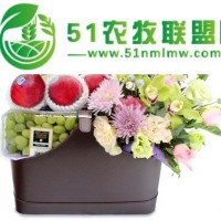 尚禮坊鮮花店特色花藝果籃由花藝師設(shè)計(jì)特式插花搭配新鮮進(jìn)口水果送禮慰問均適用