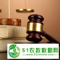 東坑正規(guī)濟(jì)糾紛辯護(hù)律師*季價(jià)格