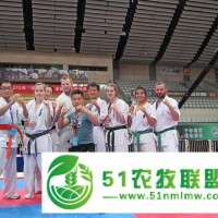 合肥廬陽女子空手道培訓班 合肥空手道培訓班價格歡迎大神**