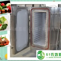 櫻桃、草莓等速凍水果速凍機(jī)