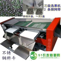 煙臺(tái)偉明FXJ新型三級(jí)藍(lán)莓選果機(jī)不傷果粉