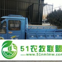 廬江區(qū)大江電動三輪車經(jīng)銷商