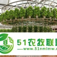 濱州溫室大棚廠家 無土栽培設(shè)備 種植技術(shù)