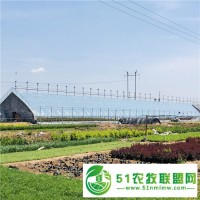 日光溫室建設 冬暖型日光溫室大棚安裝造價