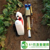 多功能小型煙霧水霧一體機 雙管脈沖便捷式煙霧機 公共場所別墅消毒機