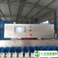廠家**各種食品重量分級機 藥材分揀機