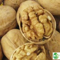 新疆核桃規(guī)格全價(jià)格低，果仁飽滿