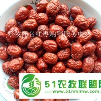 供應(yīng)紅棗樂(lè)陵金絲小棗