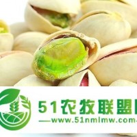 伊拉克開心果上海進(jìn)口報關(guān)代理中心電話