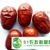 新疆和田大棗廠家批發(fā)團(tuán)購(gòu) 品質(zhì)好價(jià)格優(yōu)惠