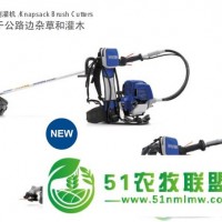 韓國現(xiàn)代進(jìn)口割草機HYUNDAI割灌機X4036除草機日本進(jìn)口