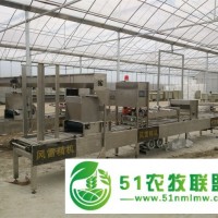 全自動育苗生產(chǎn)線---常州風雷精機