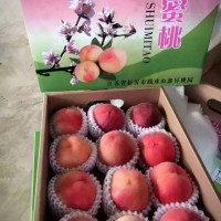 桃子栽種