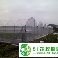溫室；大棚 圖 _花都蔬菜大棚骨架_蔬菜大棚骨架