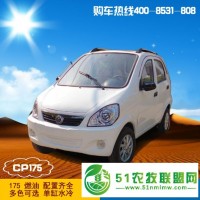 中國新款四輪電動汽車燃油助力車?yán)夏耆擞^光休閑代步車