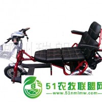 珍美澳雙人折疊老年電動(dòng)代步車 靈活多用 體積小