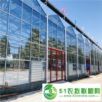玻璃溫室大棚 光照均勻骨架堅(jiān)實(shí)
