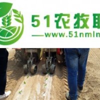廠家**田耐爾油菜移栽機(jī)，價(jià)錢便宜，質(zhì)量好