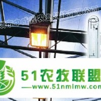 供應(yīng)溫室補(bǔ)光燈 溫室飛利浦農(nóng)用鈉燈