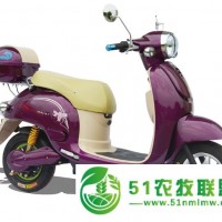 電動(dòng)車廠家價(jià)位——買質(zhì)量可靠的*龜電動(dòng)車當(dāng)然是到麥科特了