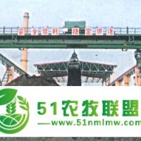 供應(yīng)雙梁抓斗橋式起重機(jī)、門(mén)式起重機(jī)、起重機(jī)維修