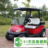 廣東2座，2+2座高爾夫觀光車出售，廠家 批發(fā)