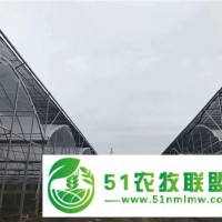 火龍果大棚安裝-火龍果大棚-科農(nóng)溫室承載力強(查看)