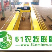 雙梁起重機(jī)|山東雙梁起重機(jī)銷售商|魯新起重機(jī)