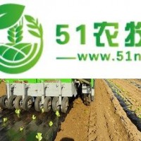 油菜娃娃菜栽苗機