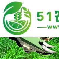 新明悅機(jī)械較新研發(fā)的韭菜收割機(jī) 廠家** 誠(chéng)招各地經(jīng)銷(xiāo)商