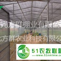 壽光方群蔬菜溫室大棚建設