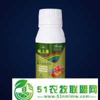 要想果實(shí)轉(zhuǎn)色好甜度高*要用對他們