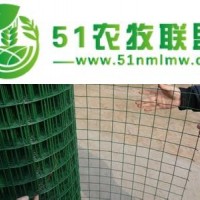 農(nóng)場(chǎng)、果園、圈地養(yǎng)殖養(yǎng)雞圍欄網(wǎng)