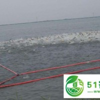 自動收魚的太陽能捕魚充氣抬網(wǎng)