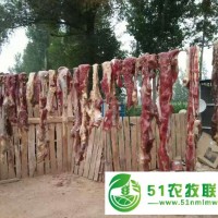 敖漢旗笨豬肉銷售，敖漢旗笨豬肉價(jià)格