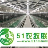 涿鹿縣下疃豐達兔業(yè)養(yǎng)殖*合作社可長期供應(yīng)實驗兔