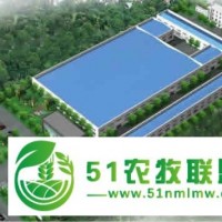 供應(yīng)龍蝦養(yǎng)殖基地建設(shè)項(xiàng)目可行性研究報告