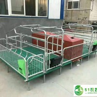 豬用產(chǎn)床尺寸 母豬分娩床 養(yǎng)豬場母豬床結實**