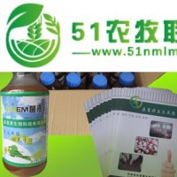 EM菌液EM菌種種植水稻*EM菌液價格是多少