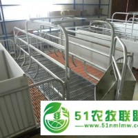 養(yǎng)豬場設備的自動料線
