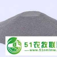 廣東鋼丸廠家 瀚億州供應(yīng)